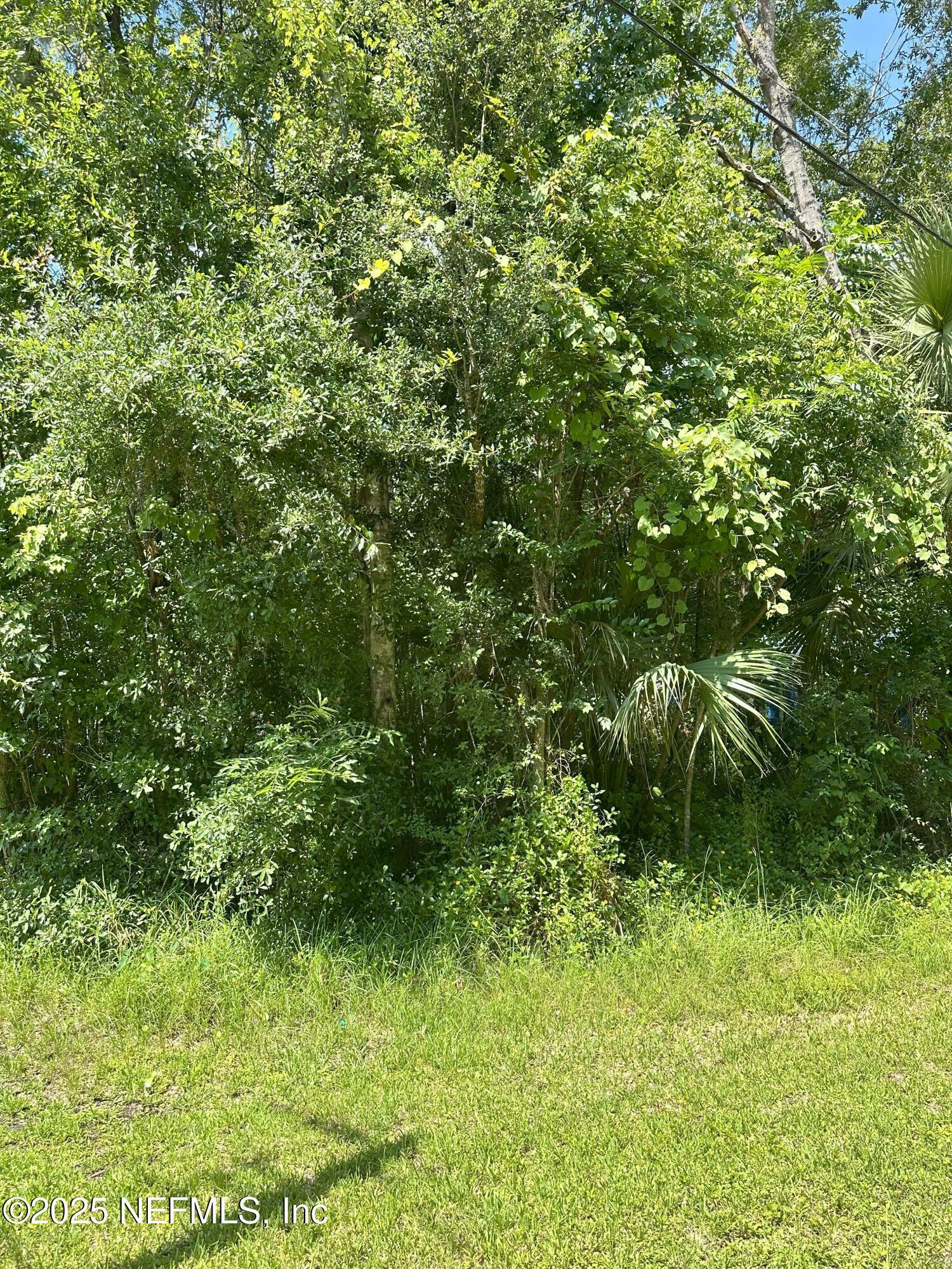 Property Photo:  222 W Holtz Street  FL 32145 