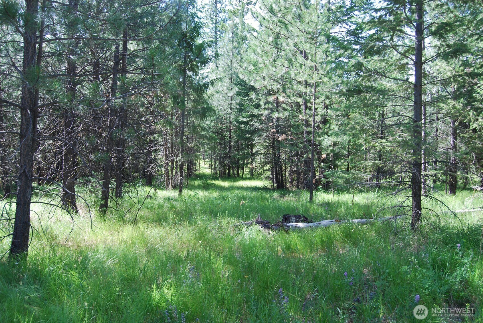 Property Photo: 30 -23 Wild Turkey WA 98849