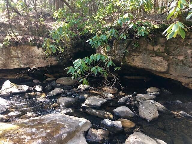 Property Photo:  0 Sullivan Mill Lane  TN 37338 