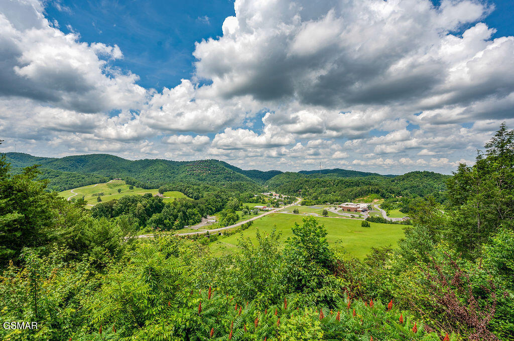 Property Photo: 4238 Dollys Drive TN 37876