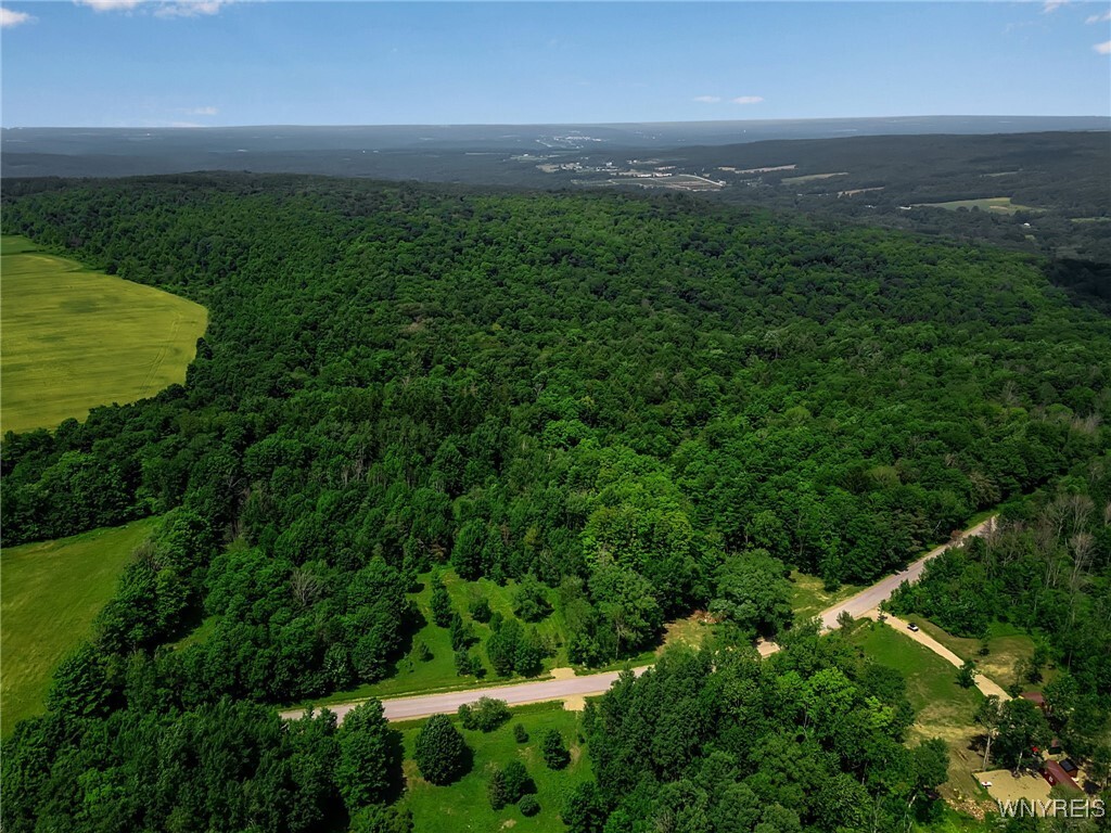 Property Photo: 00 Snake Run Road NY 14729