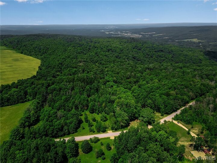 00 Snake Run Road  East Otto NY 14729 photo