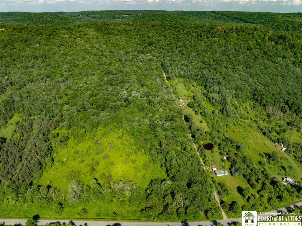 Property Photo: 0 Morgan Hollow Road NY 14737