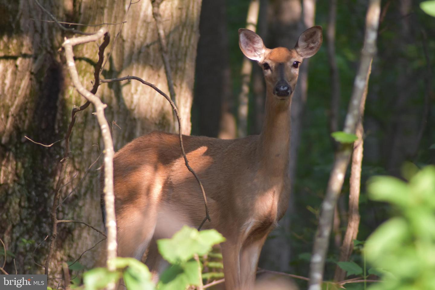 Property Photo: 2900 Deep Hollow Road PA 17315