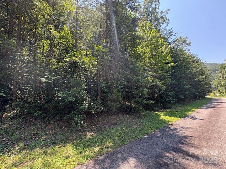 Property Photo:  Lot 13 Wildflower Way  NC 28752 