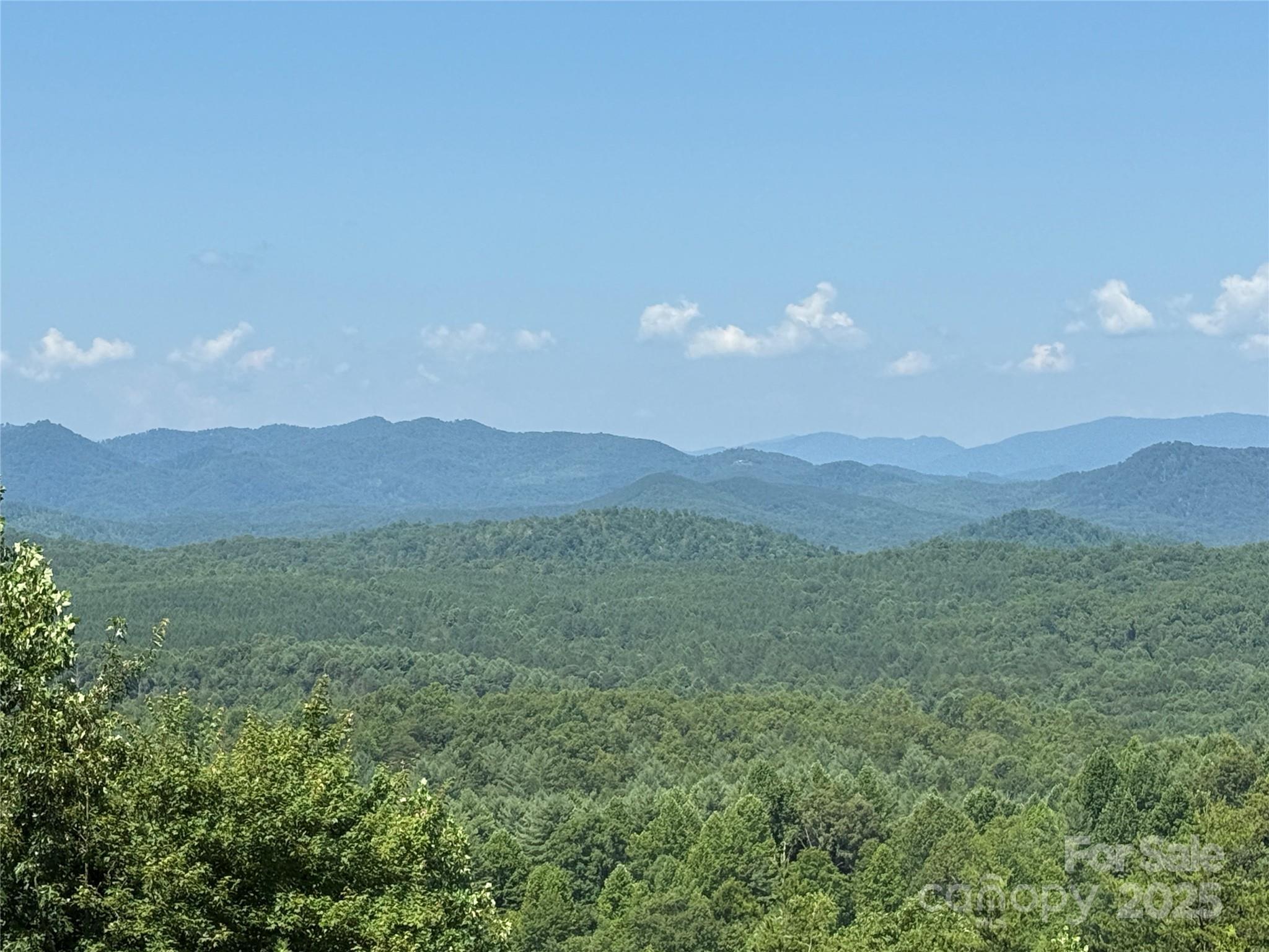 Property Photo: 0 Scenic Vista Drive 262 NC 28761