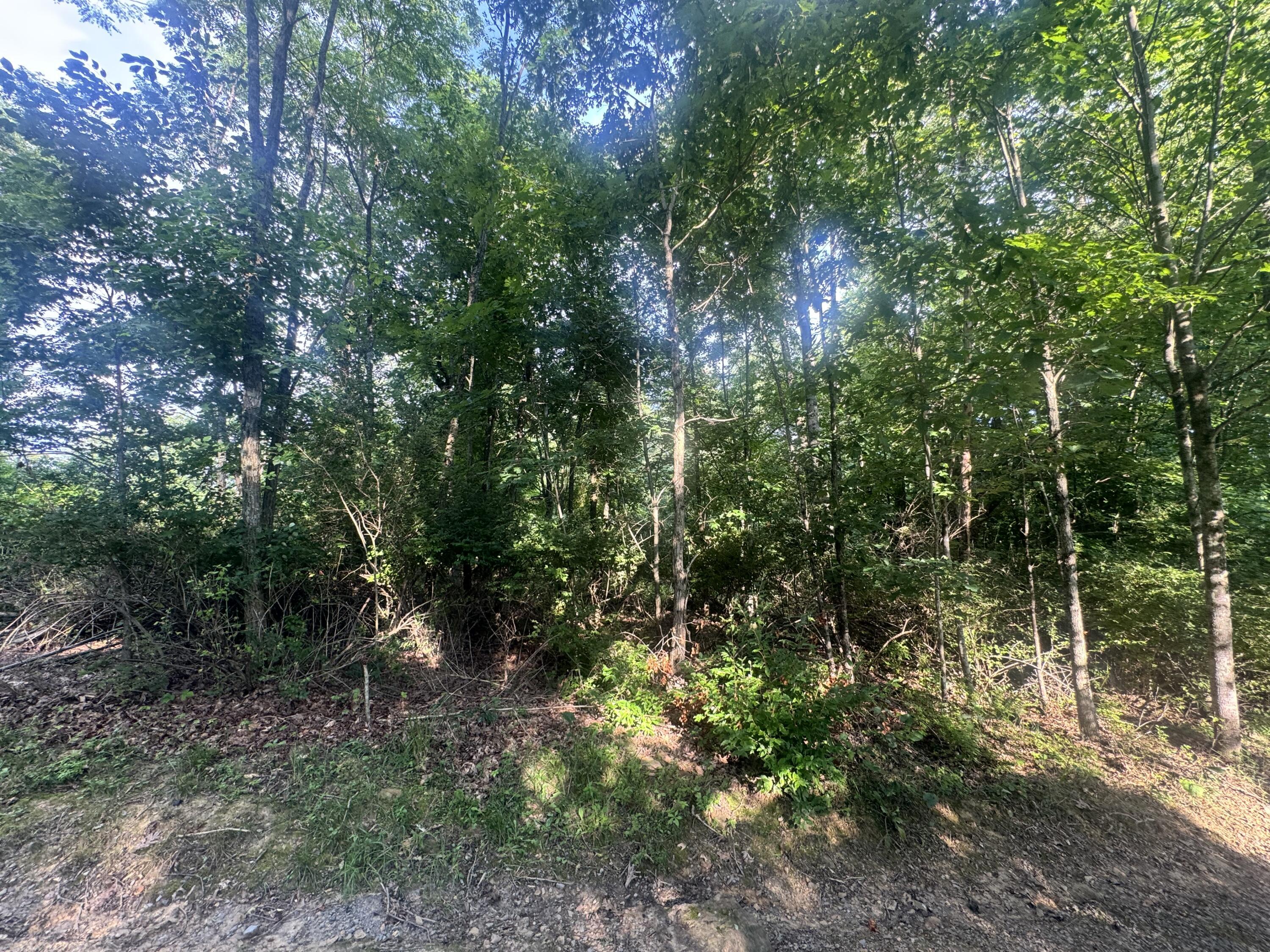 Property Photo: Irish Corner Rd WV 26651