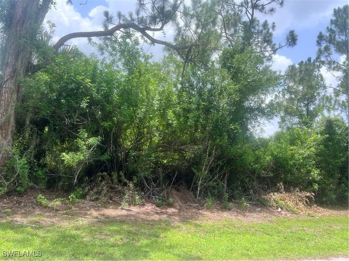 Property Photo:  6020 Juliet Avenue  FL 33905 