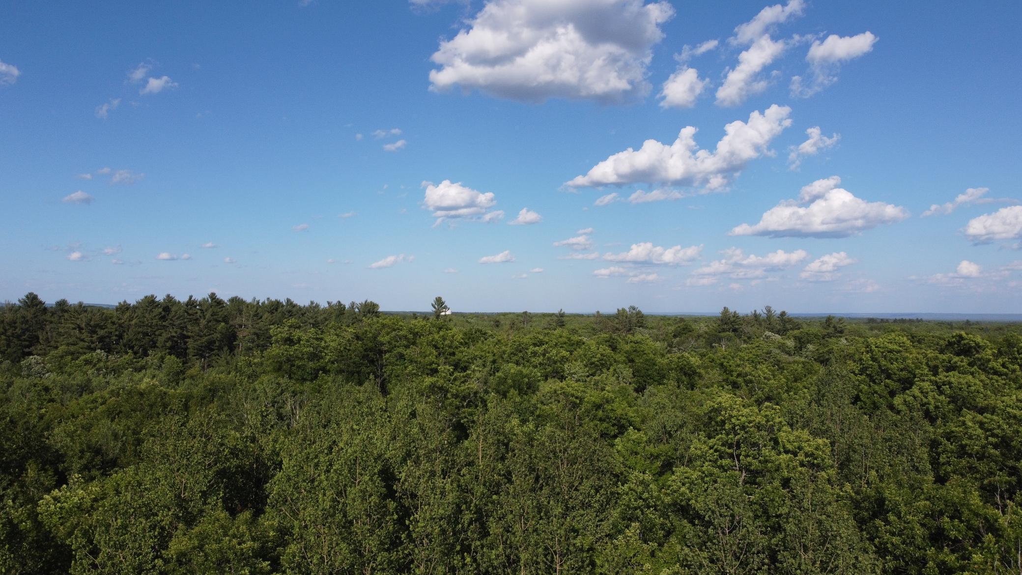 Property Photo: Xxxx Moonlight Drive MN 55718