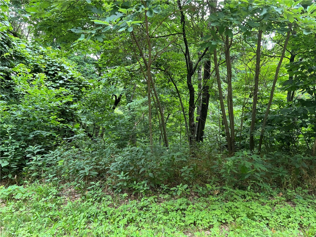 18 & 19 Hawk Drive  Holiday Island AR 72631 photo