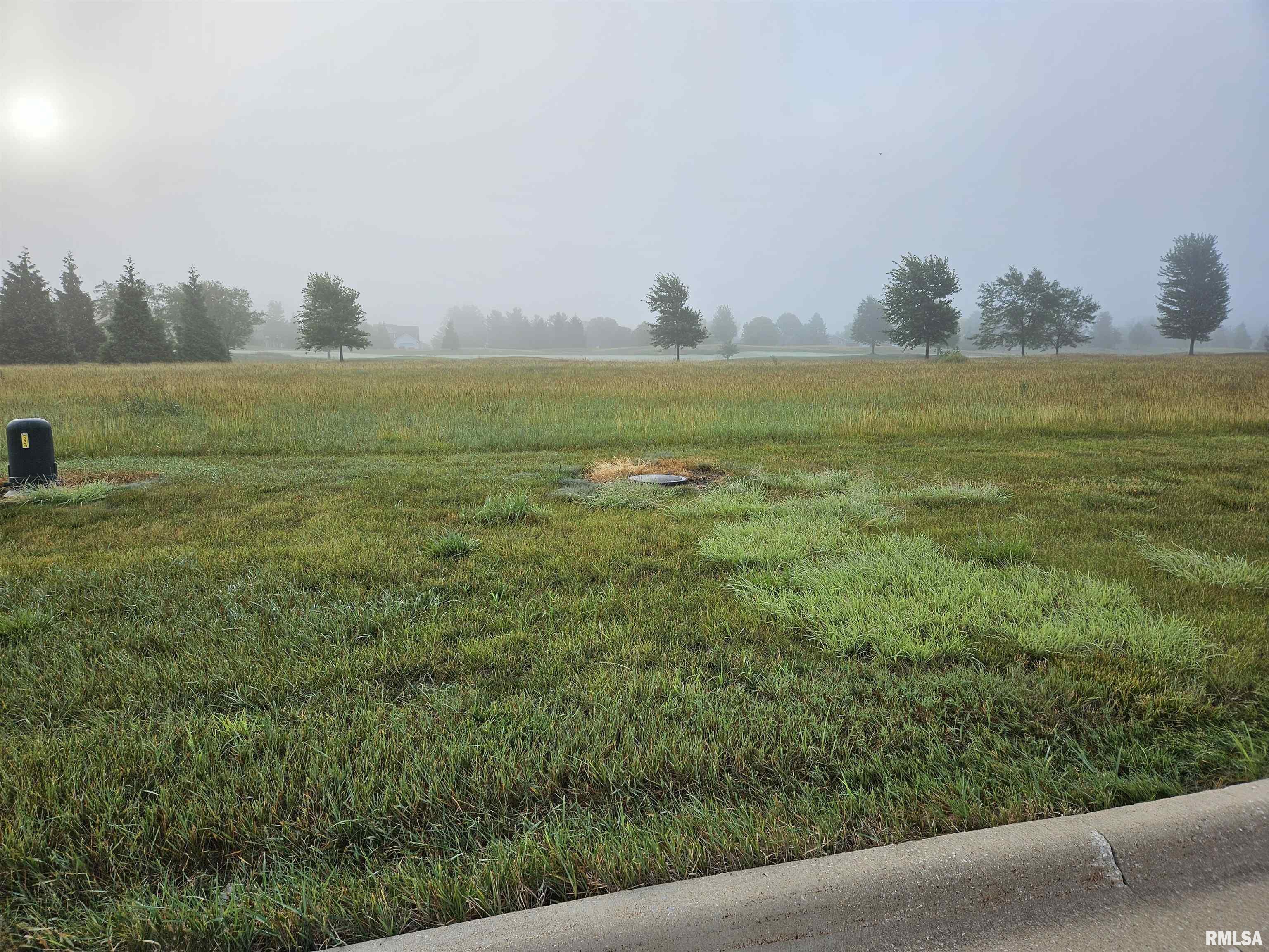Property Photo:  1006 Ring Drive  IL 61548 
