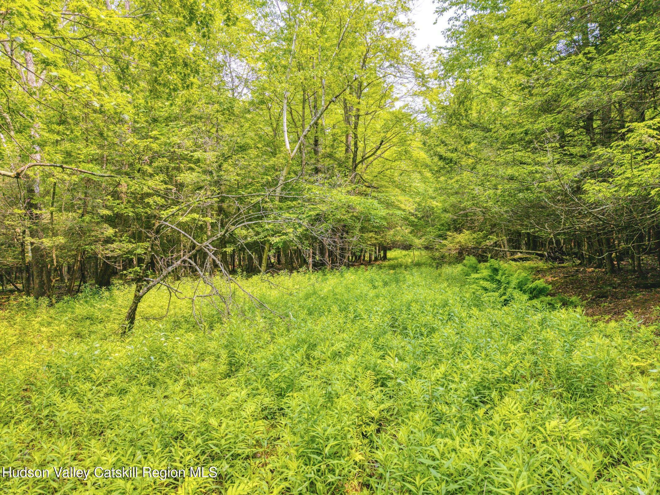 Tbd Boulder Brook  Lot 33-38  Windham NY 12496 photo
