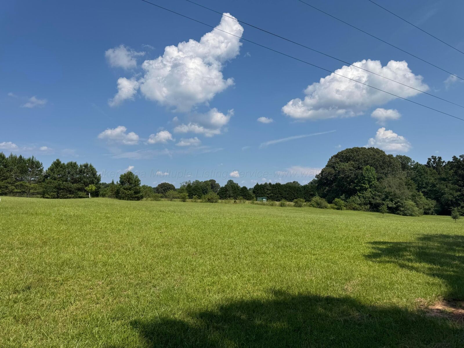 Property Photo: 349 County Rd 16 AL 35541
