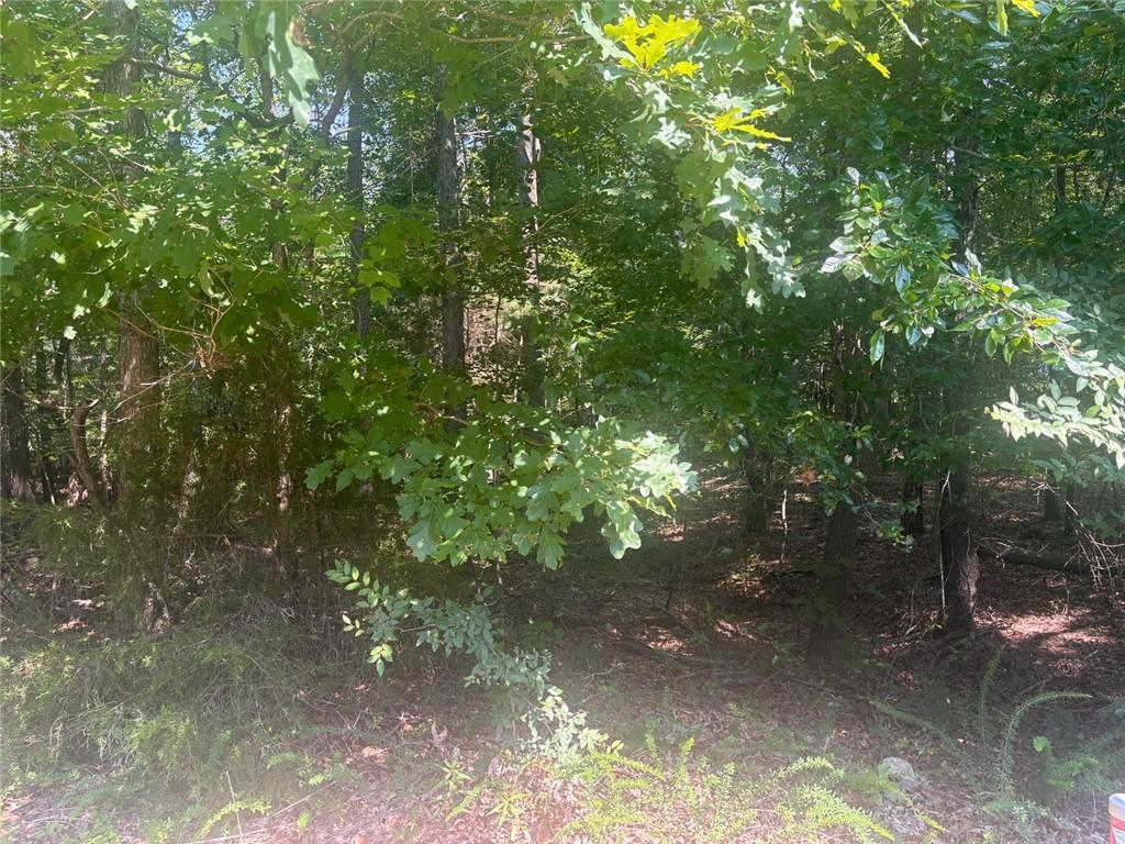 Property Photo: 13 Jewell Drive SE GA 30161