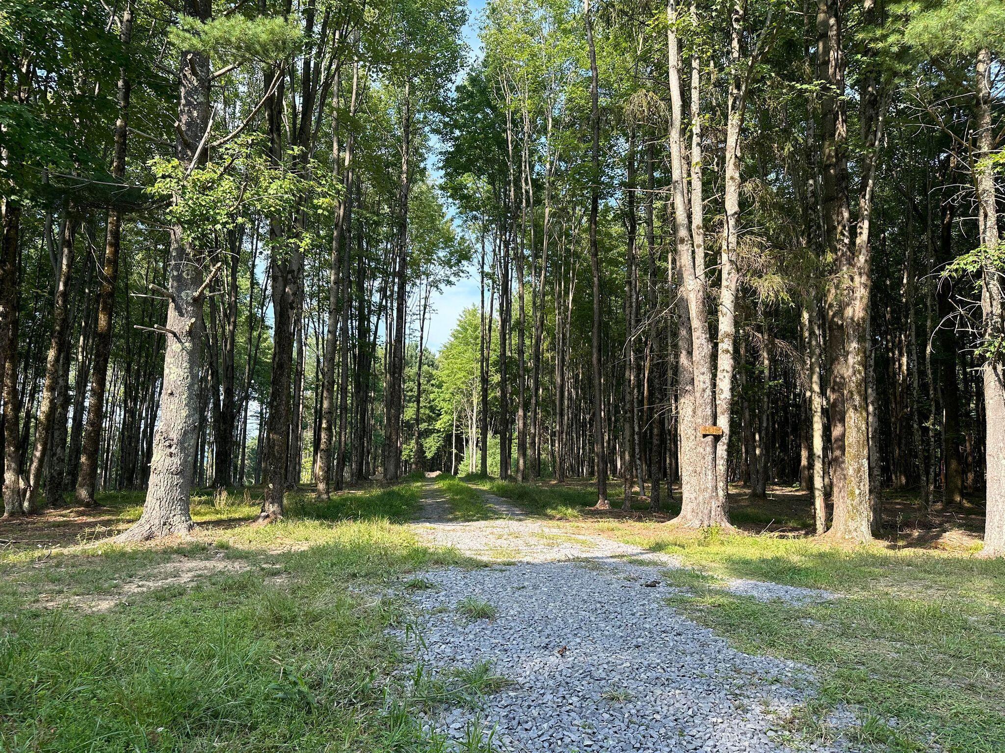 408 Hickory Grove Church Rd  Mt. Nebo WV 26679 photo