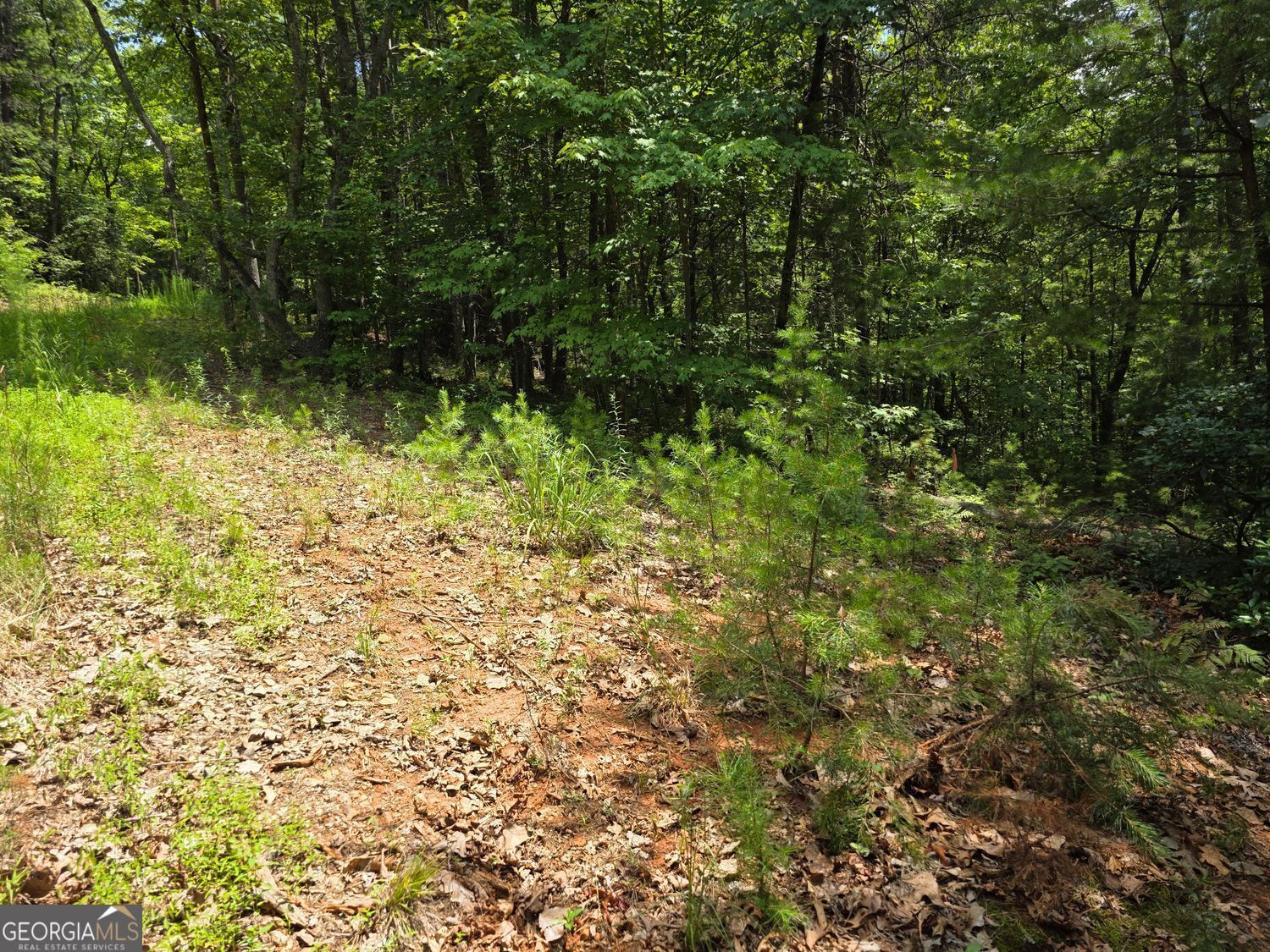 Property Photo: Lot 14 &Amp 6 Bean Creek GA 30571
