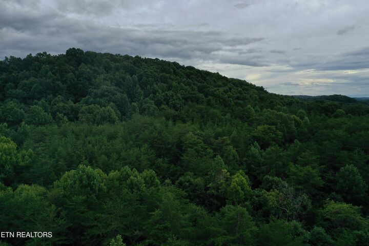 Property Photo:  66.48 Acres Milldale Rd  TN 37725 