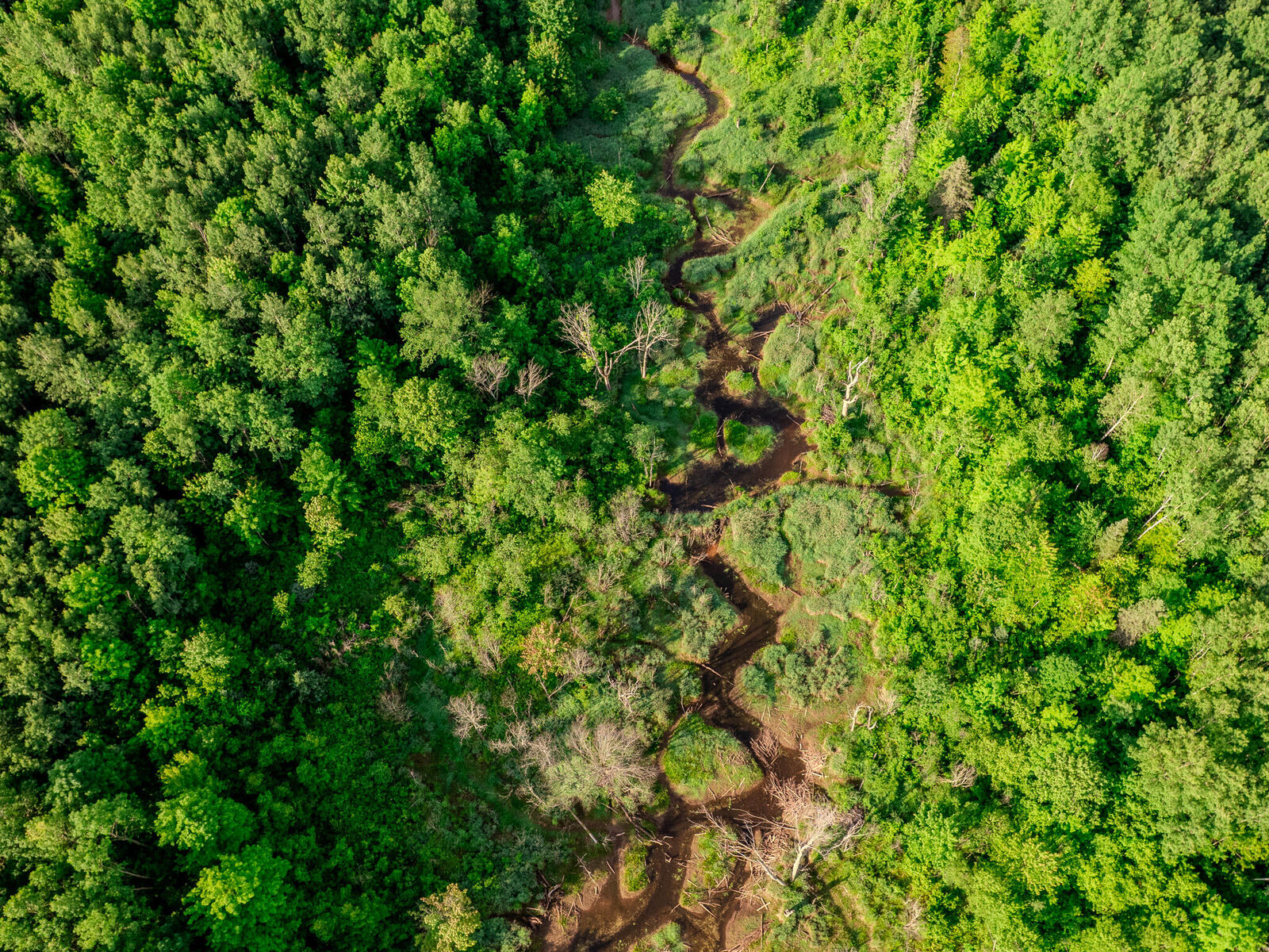 Property Photo:  30659 Townline Road  MI 49953 