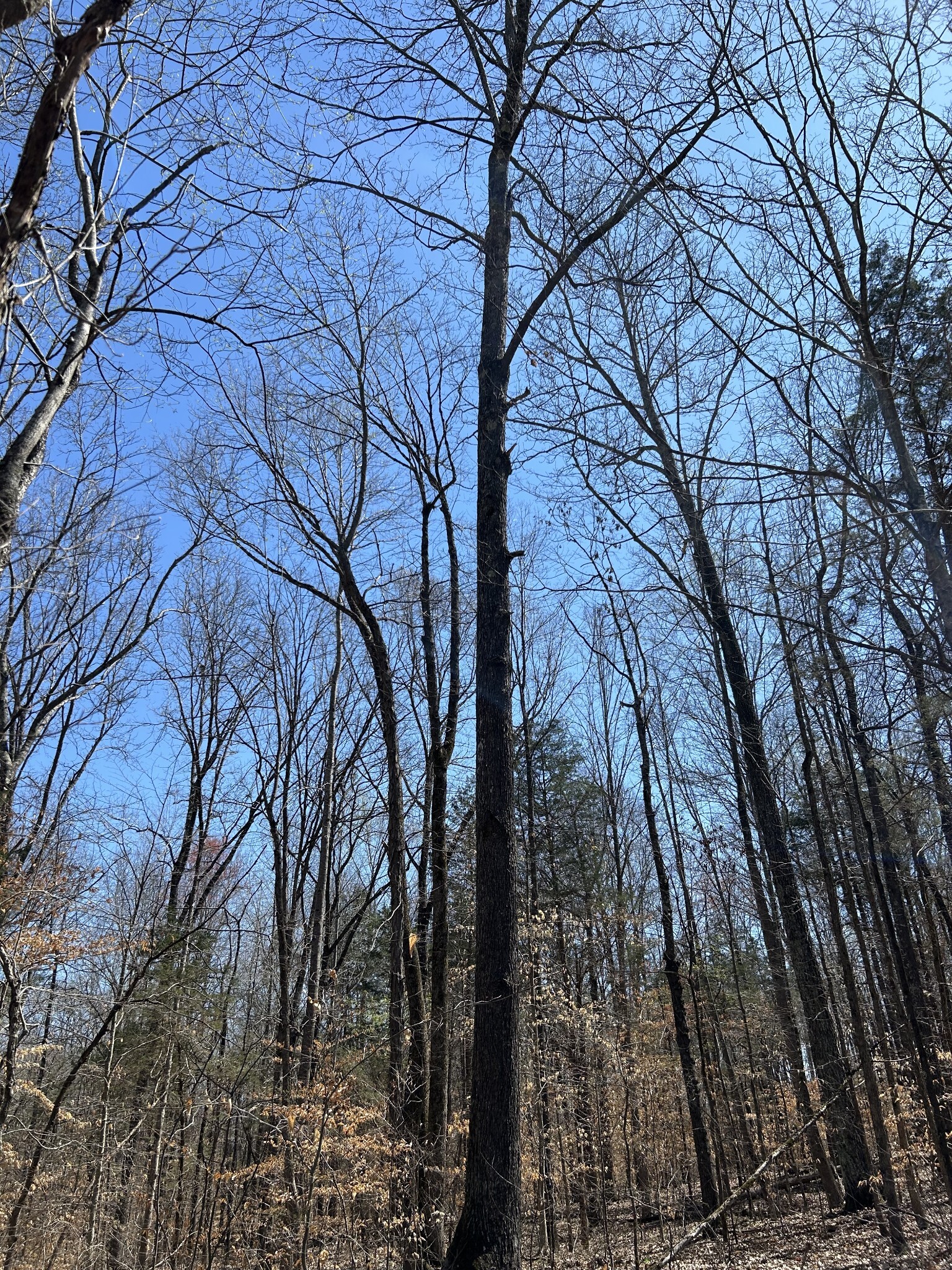Property Photo:  820 Lucas Rd  TN 37055 