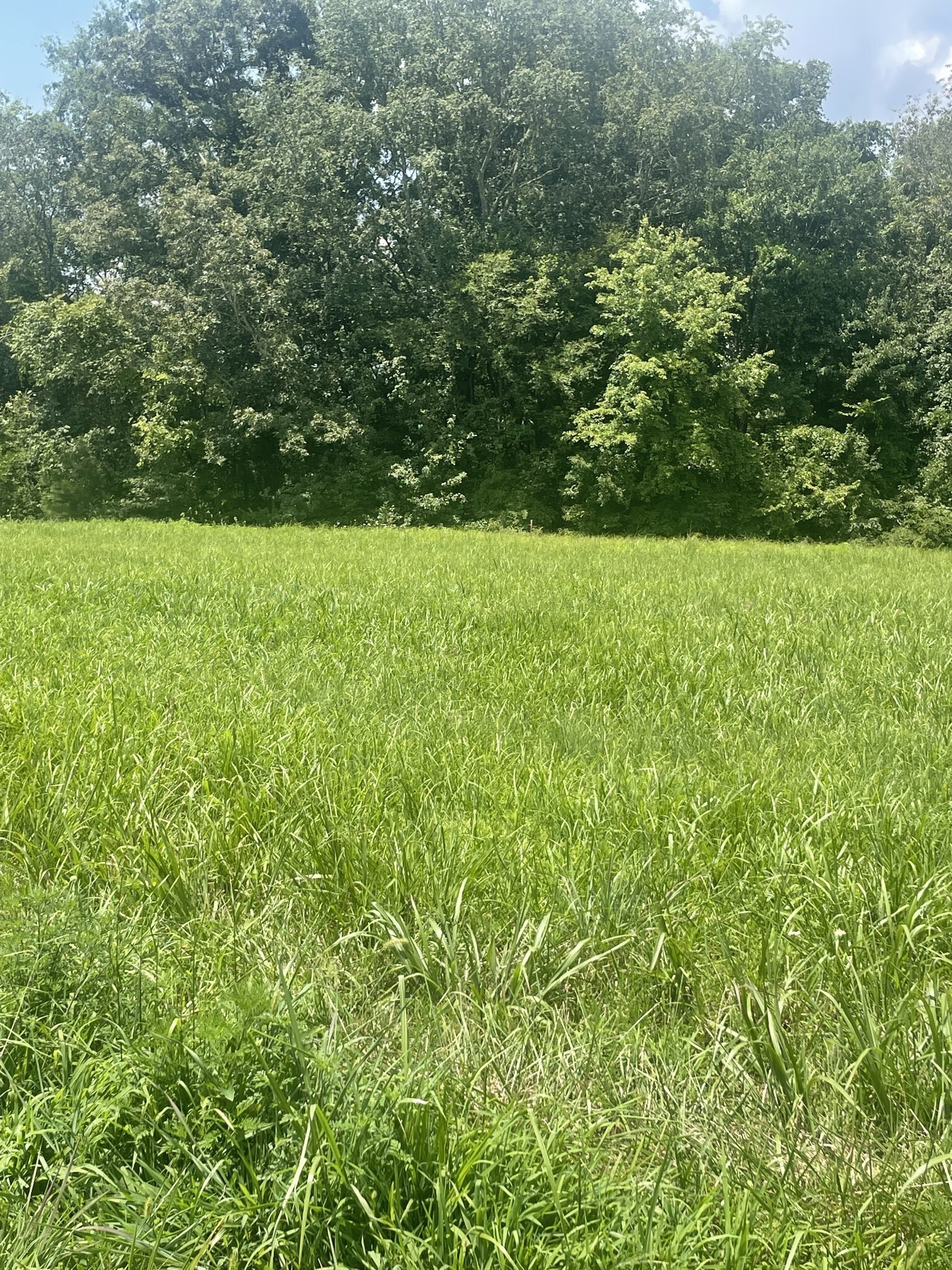 Property Photo: 0 Summerlake Ct TN 37398