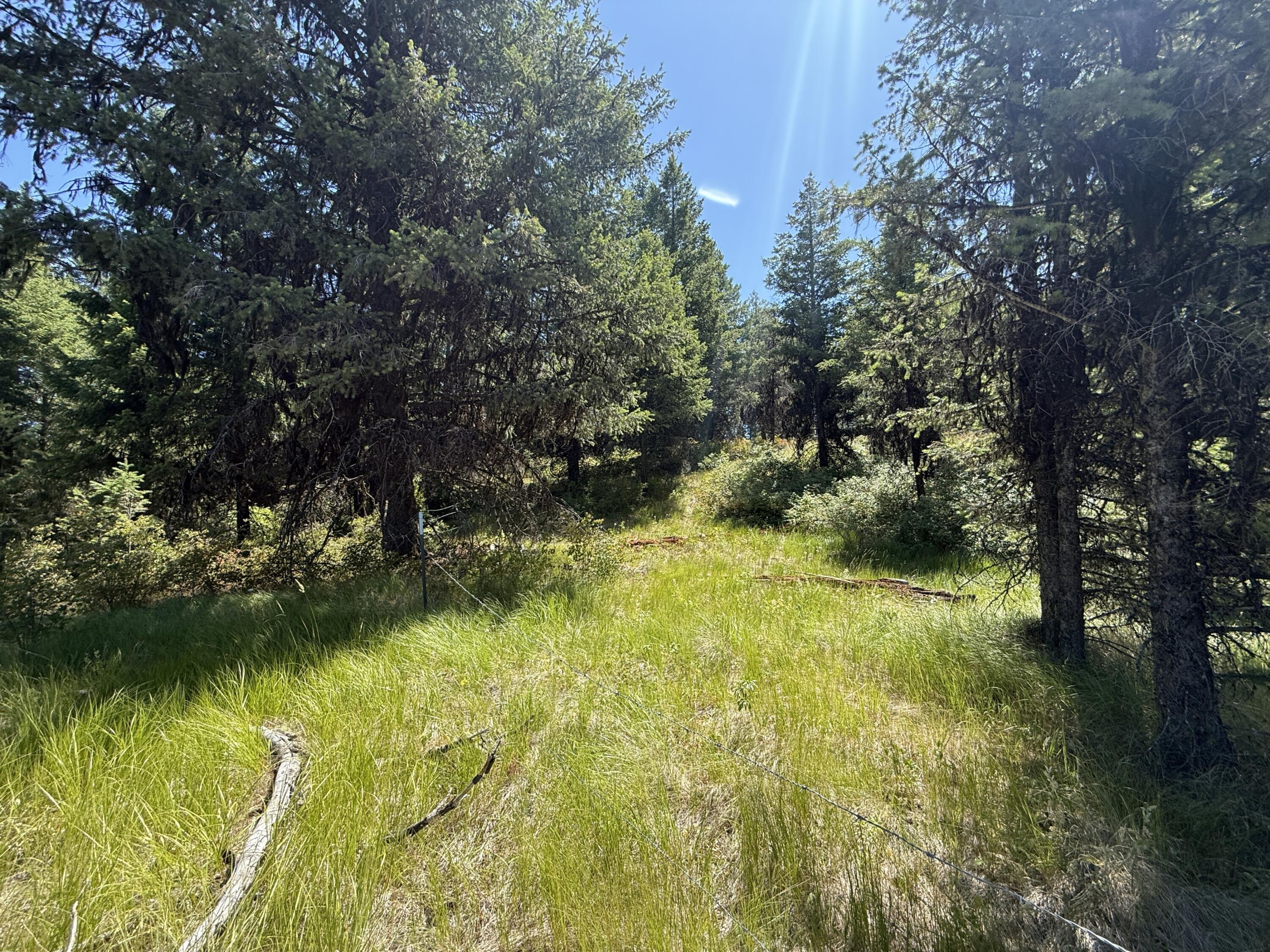Property Photo: 135 Slippery Hill Ln WA 99166
