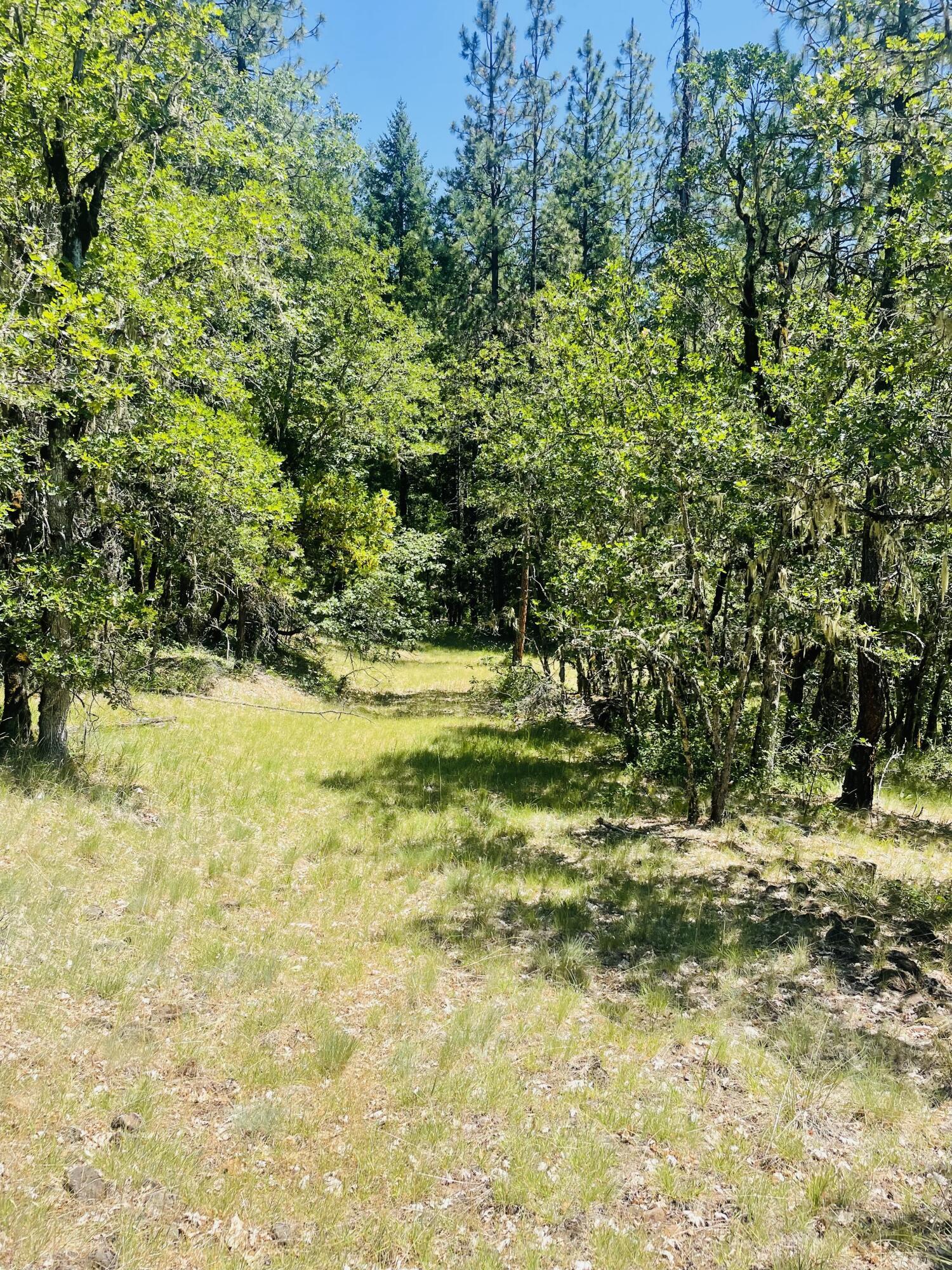 Property Photo: 826 Ulrich Road OR 97536