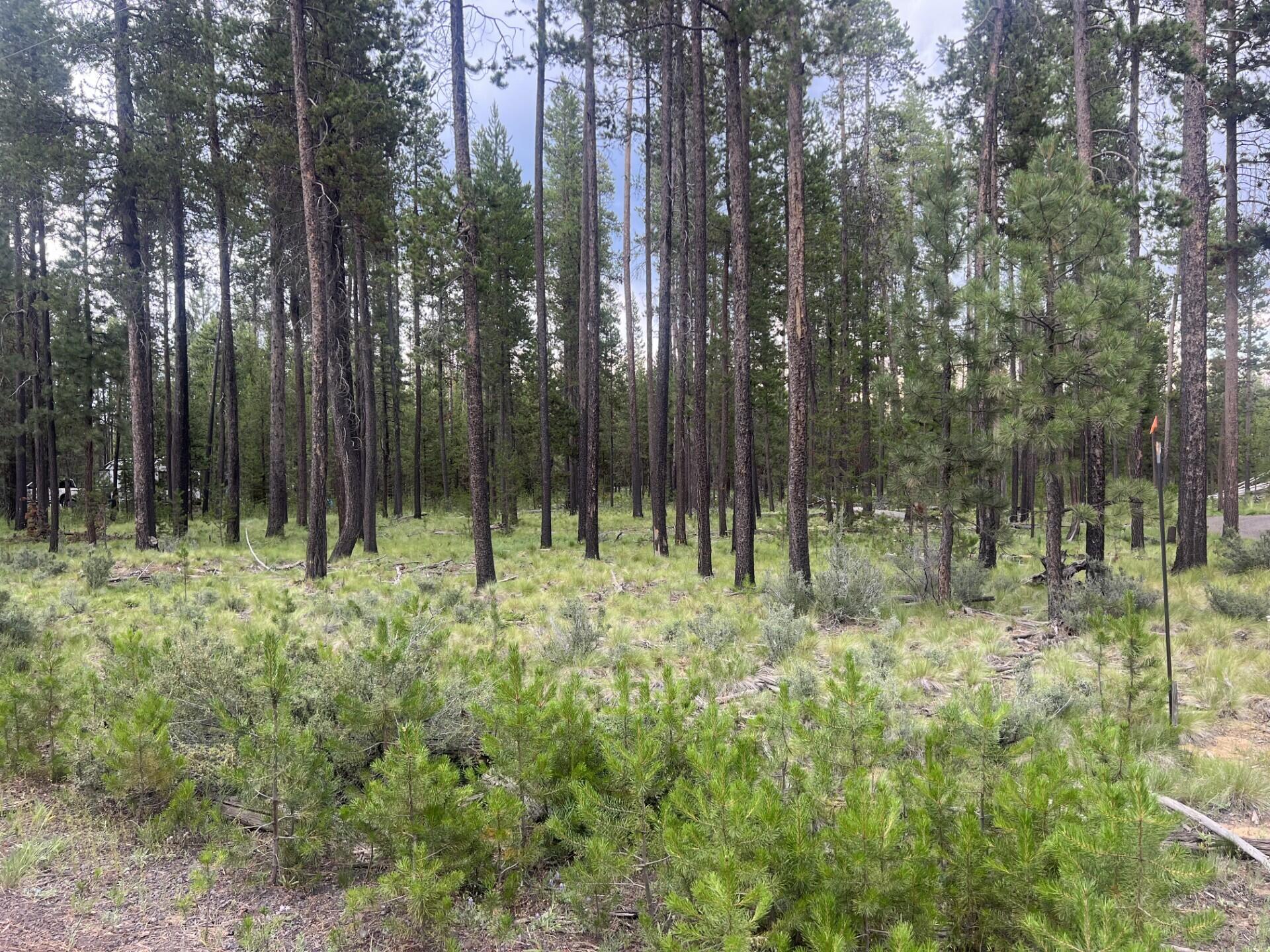 Property Photo: 55970 Browning Drive OR 97707