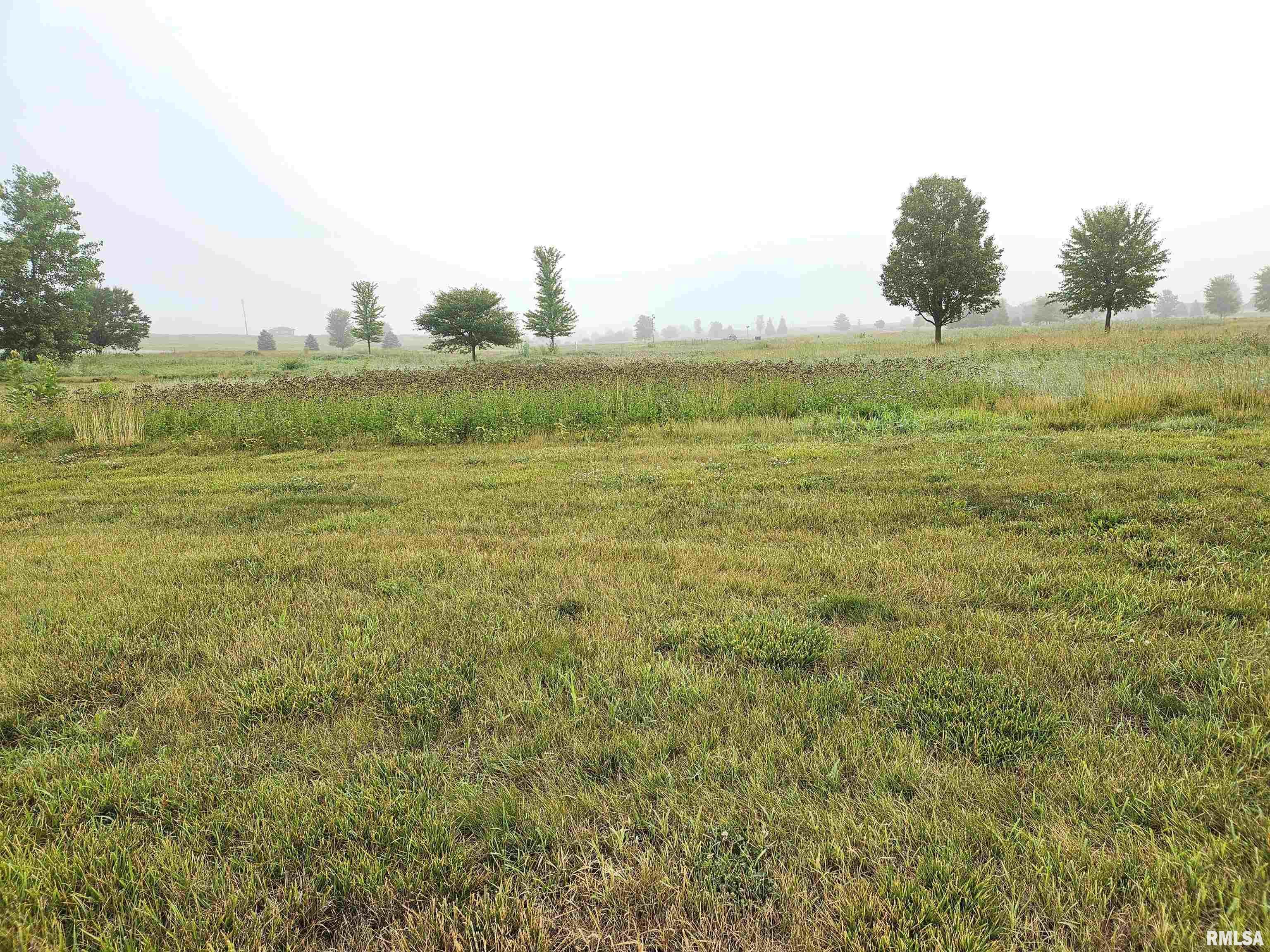 1002 Ring Drive  Metamora IL 61548 photo