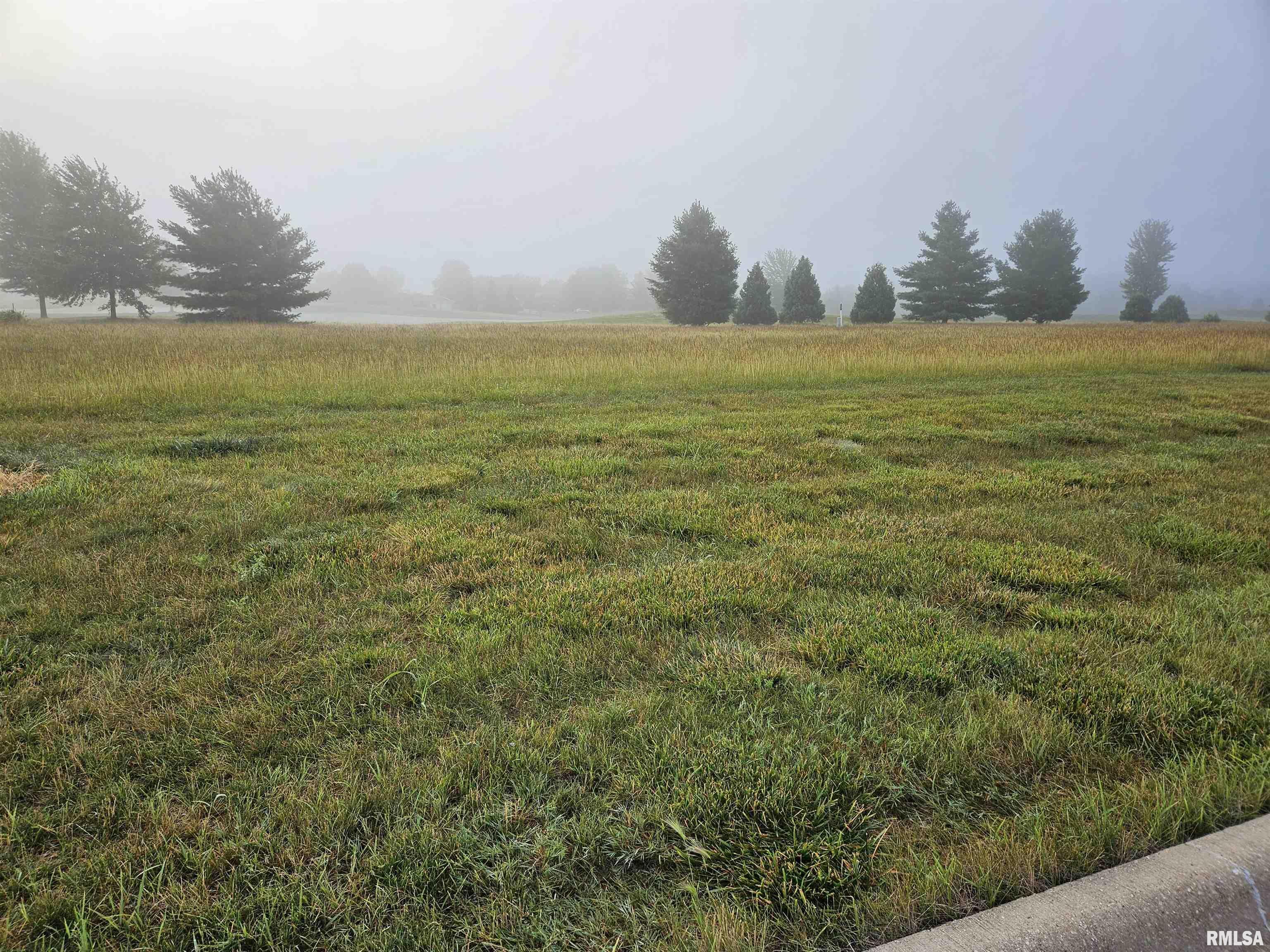 Property Photo: 813 Harmon Lane IL 61548
