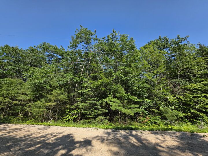 14120 Vaness Drive  Cheboygan MI 49721 photo