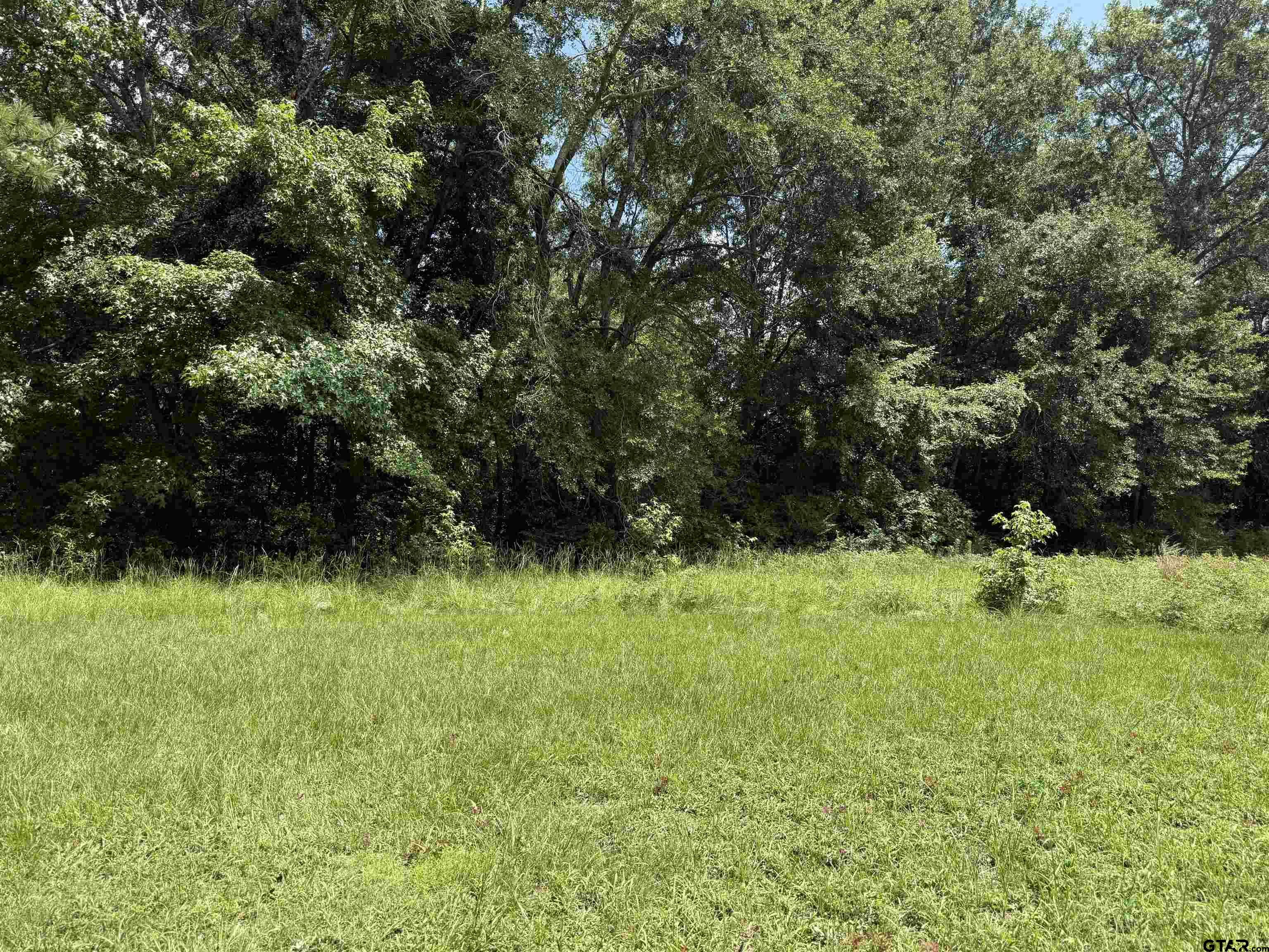 Property Photo: 000 Lake Dr TX 75792