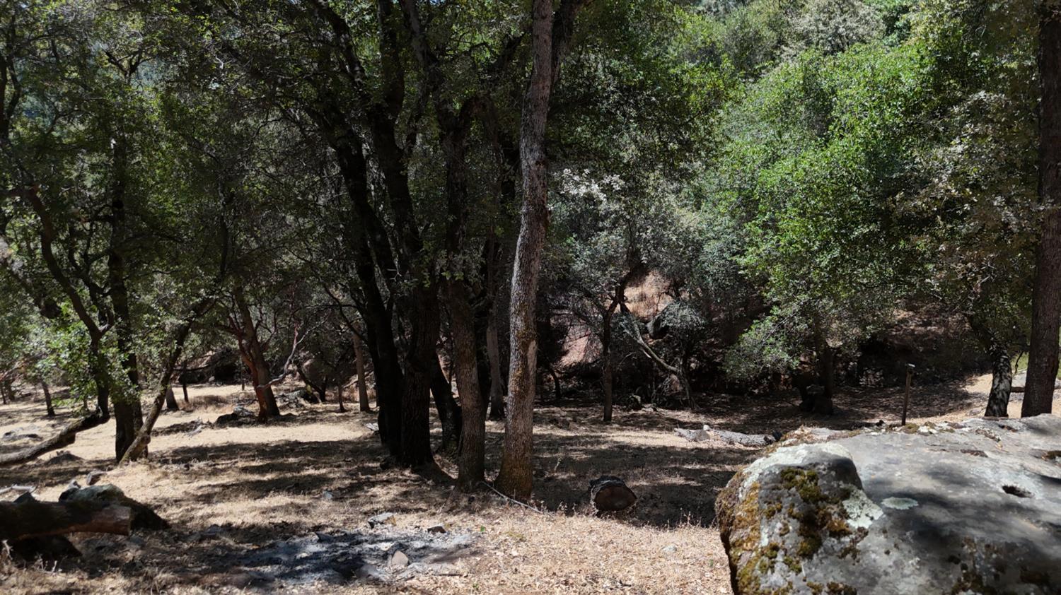 Property Photo: 18579 Song Sparrow Court CA 95946