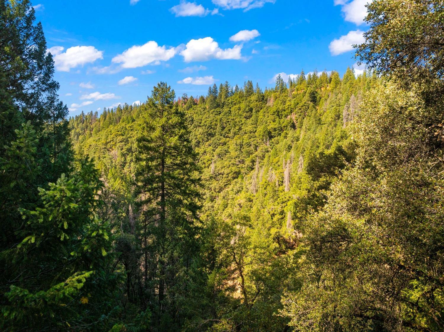 Property Photo: 0 Drum Powerhouse Road CA 95701