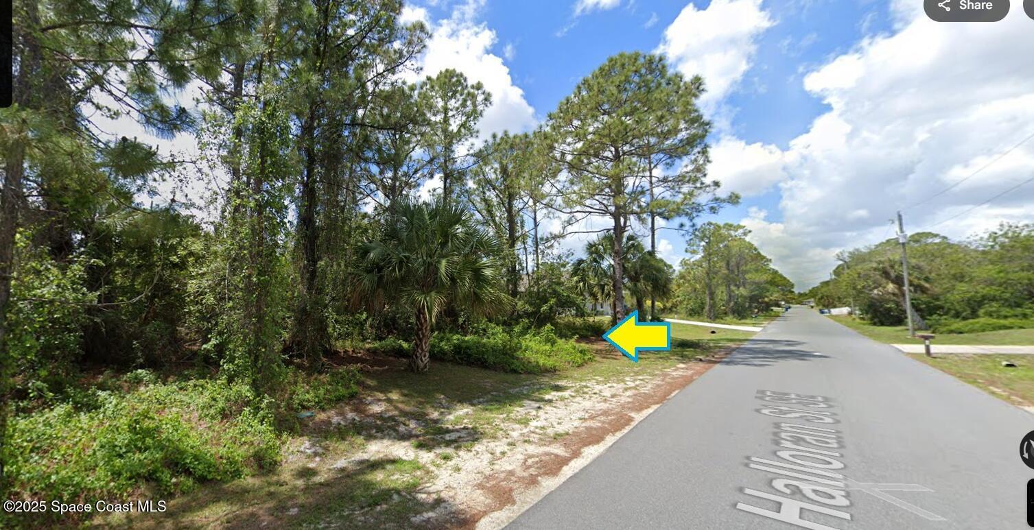 Property Photo: 260 Halloran Street SE FL 32909