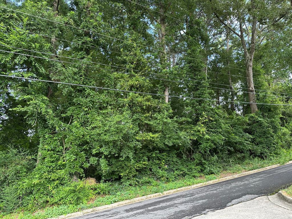 Property Photo: 0 Hawthorne Street GA 30720
