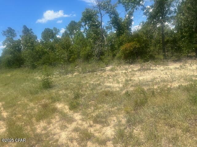 Property Photo:  Tbd Cachet Court 9  FL 32428 