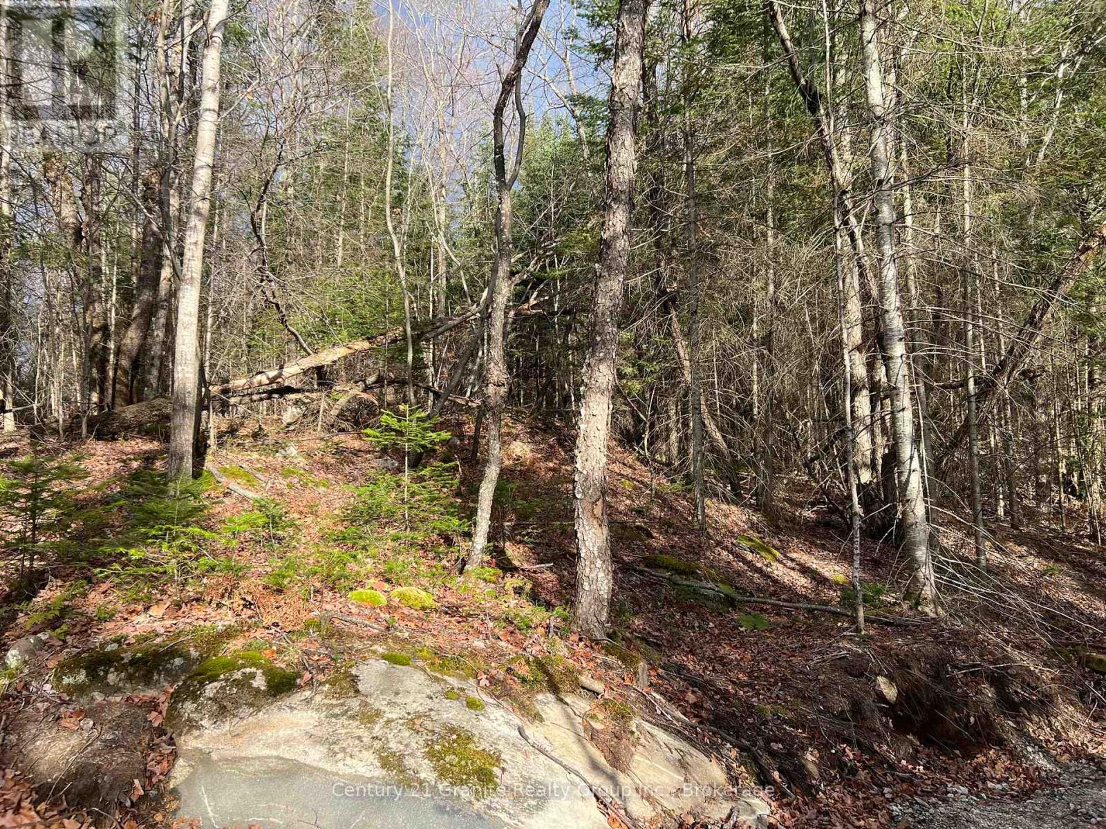 Property Photo:  Lot 27 Bushwolf Lake Road  ON K0M 1S0 