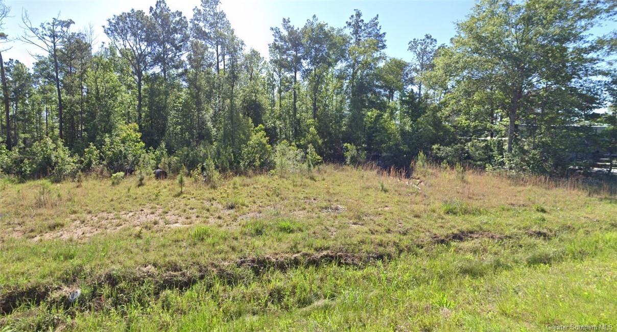 0 Lot 10 Newt Hodges Road  Ragley LA 70657 photo