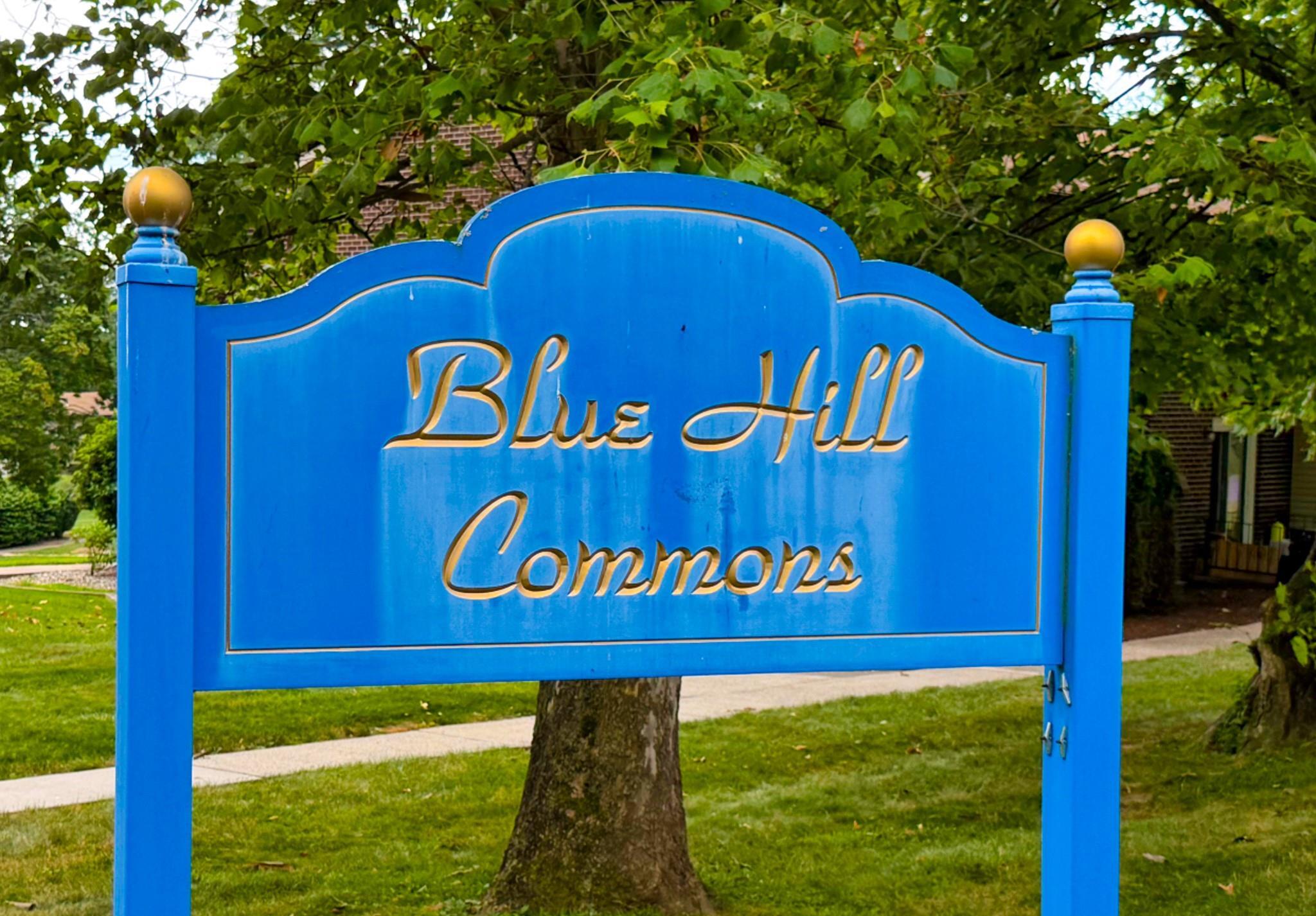 15 Blue Hill Commons  Orangeburg NY 10962 photo