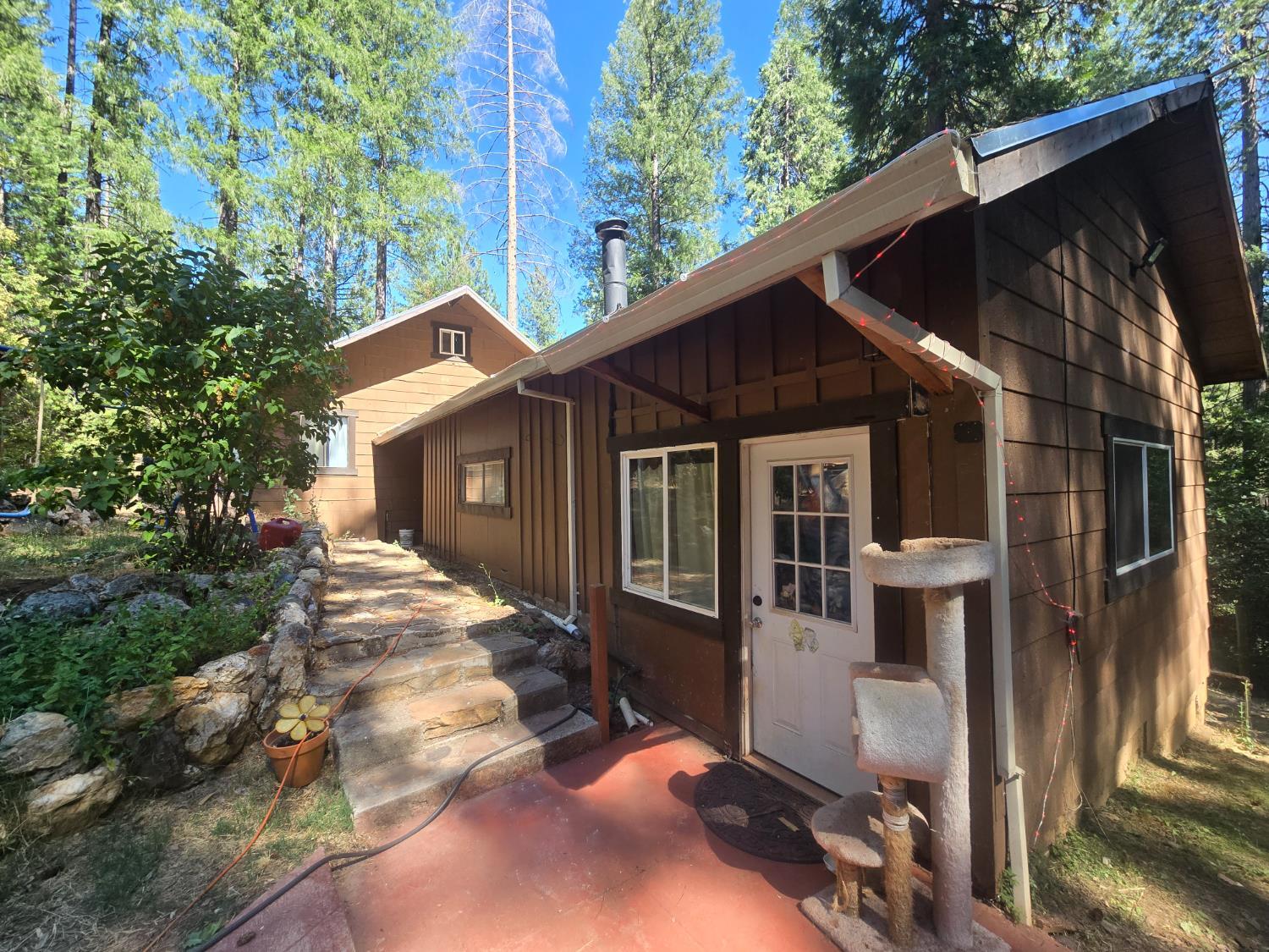 3165 Homewood Drive  Georgetown CA 95634 photo