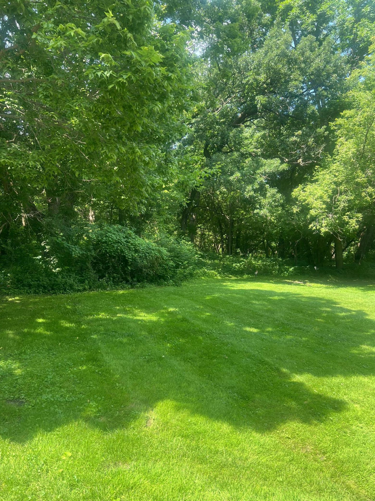 Property Photo: Tbd Lot 2 Envelope 2 Baycrest Road MN 56334
