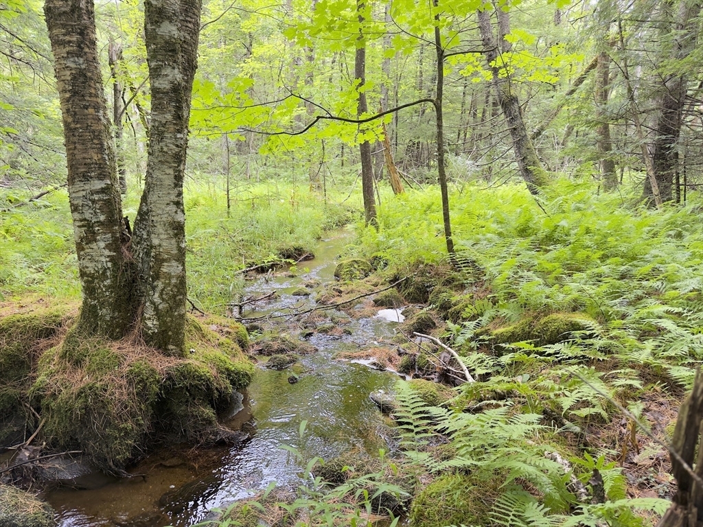 Property Photo: 0 John Ford Road MA 01330