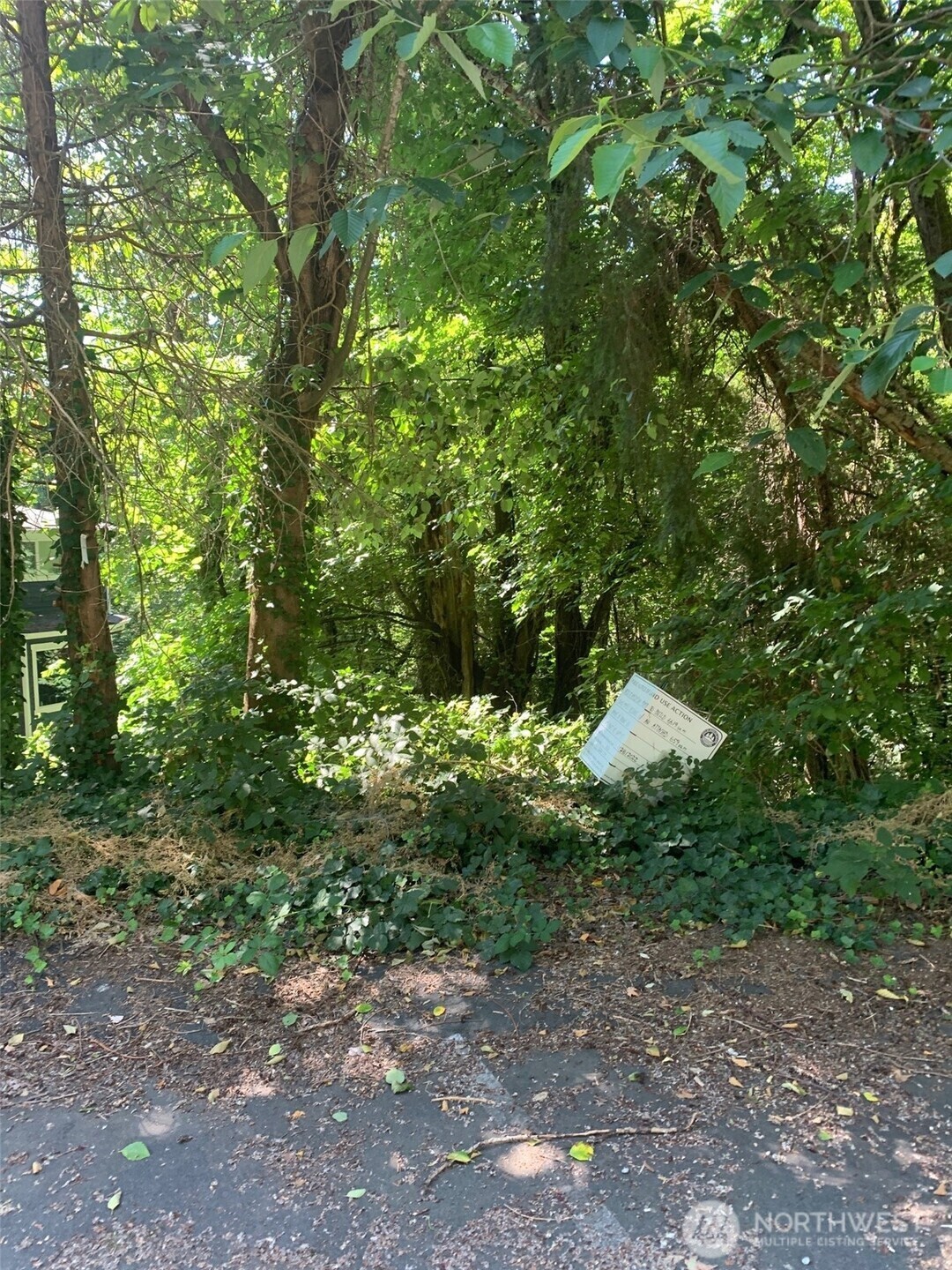 Property Photo: 9167 SE 64th Street WA 98040