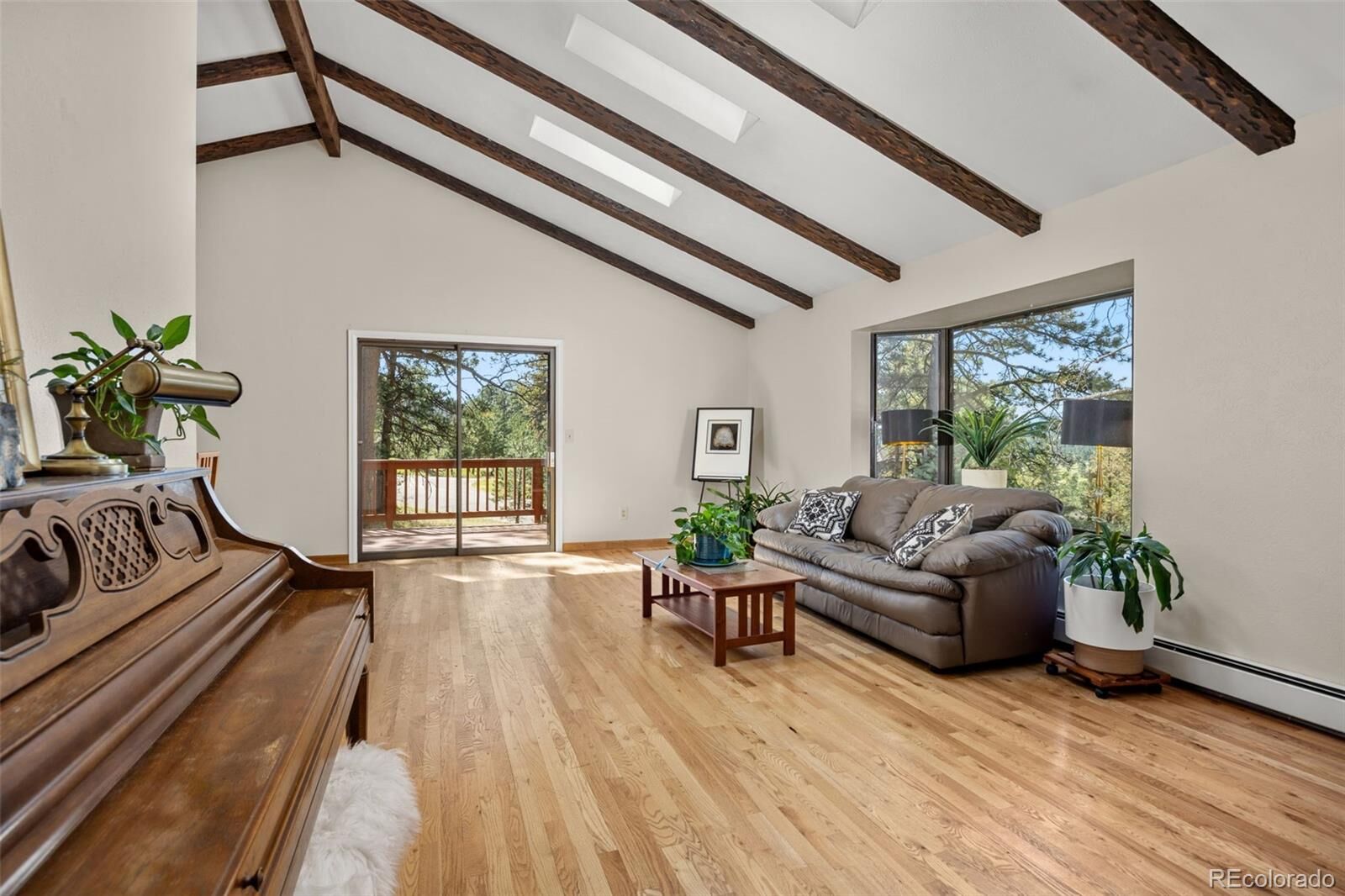 Property Photo:  2394 El Dorado Lane  CO 80439