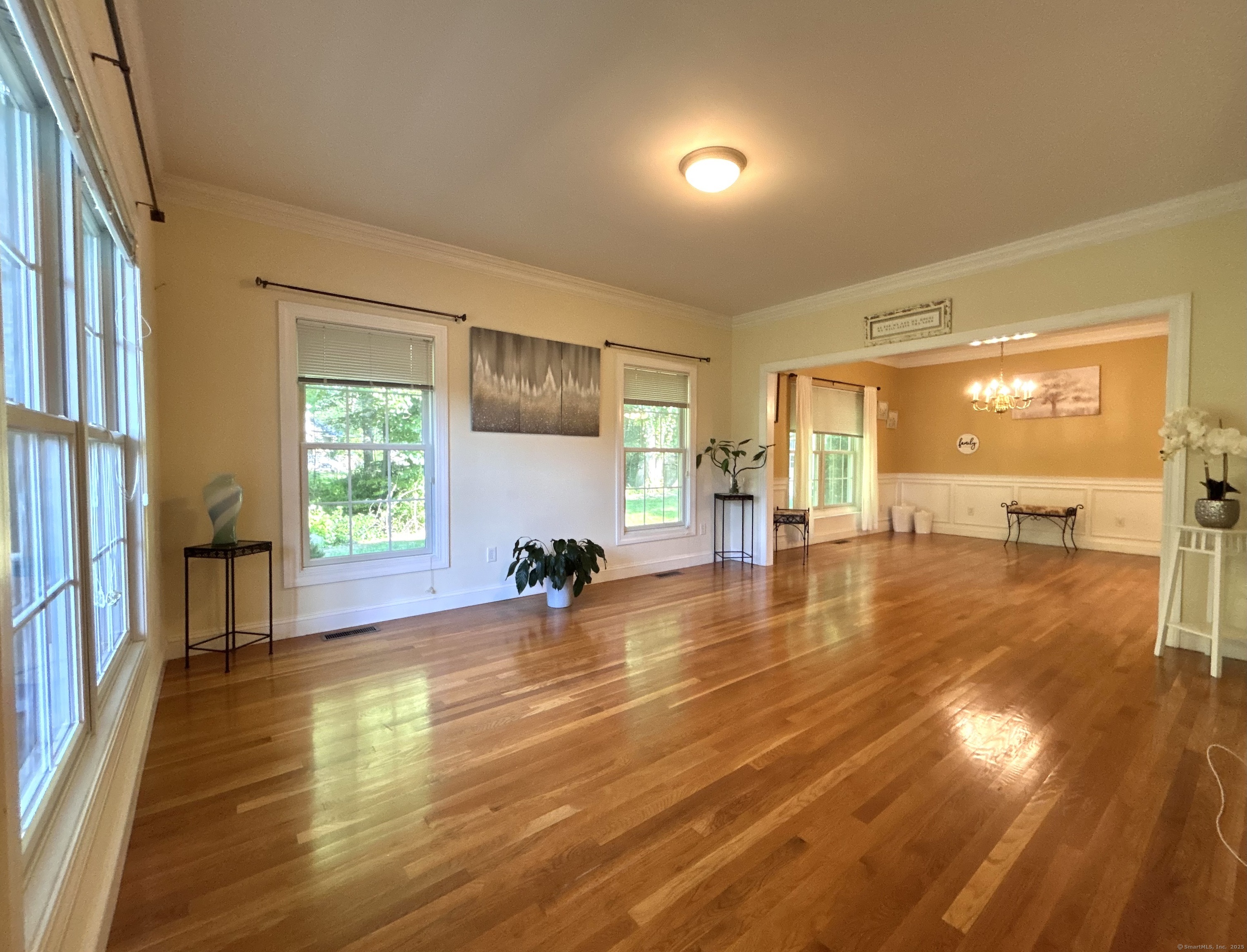 Property Photo: 41 Calloway Drive CT 06461