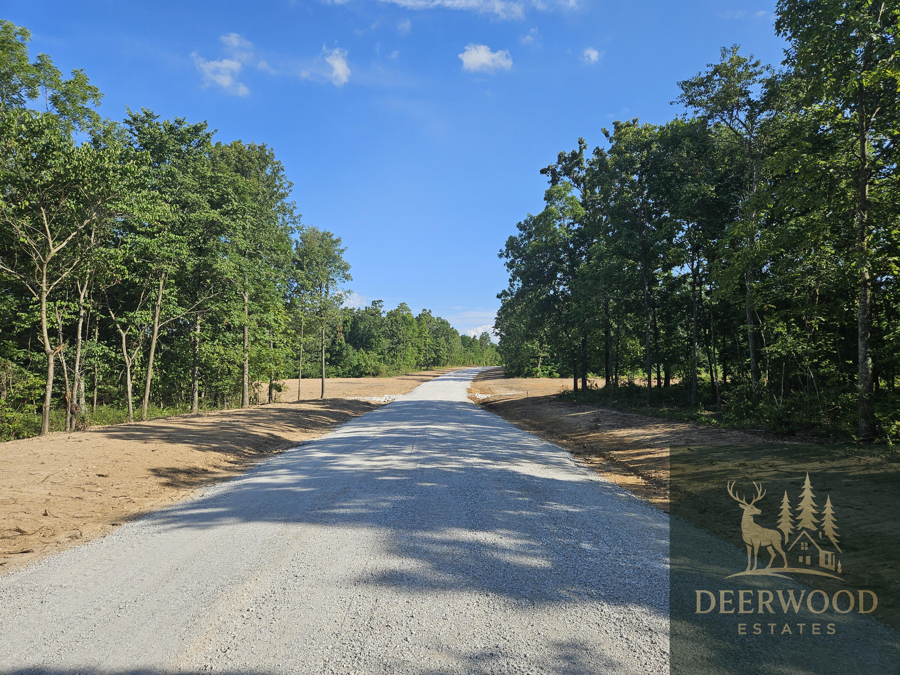 Lot 8 Deerwood Estates  Aurora MO 65605 photo