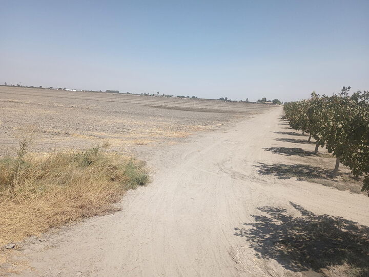 Property Photo: Ave 56 2 CA 93201