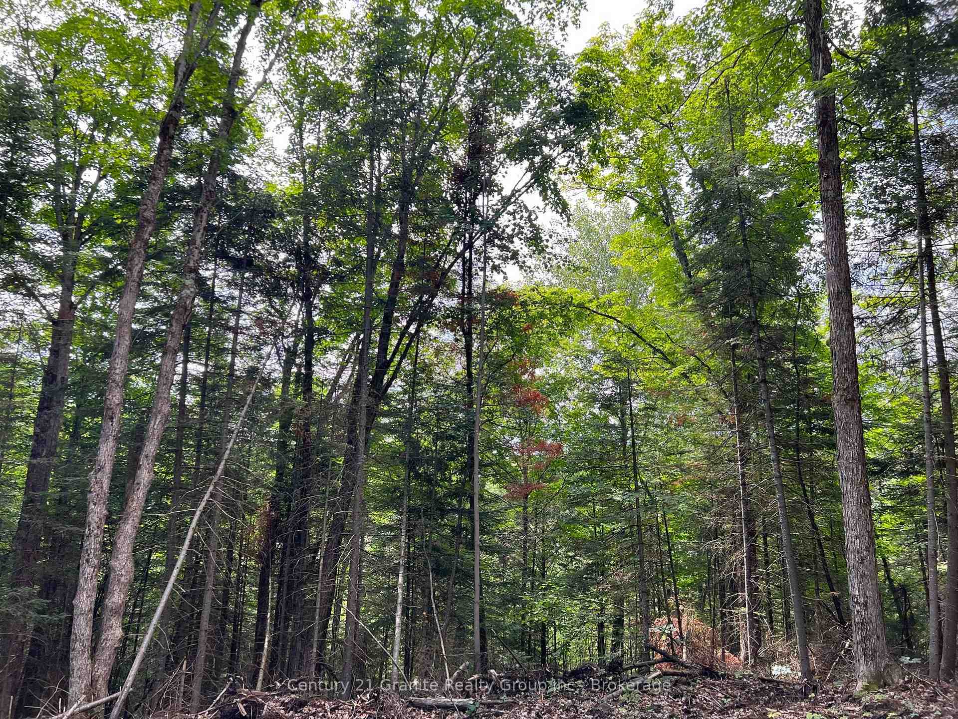 Property Photo:  Lot 26 West Court  ON K0M 1S0 