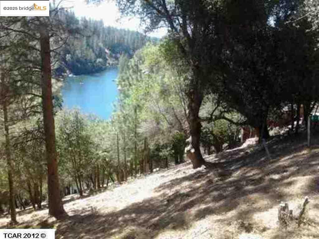 Property Photo: 20158 Pine Mountain CA 95321