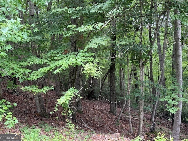 Property Photo: Lot 26 Whippoorwill Way GA 30510